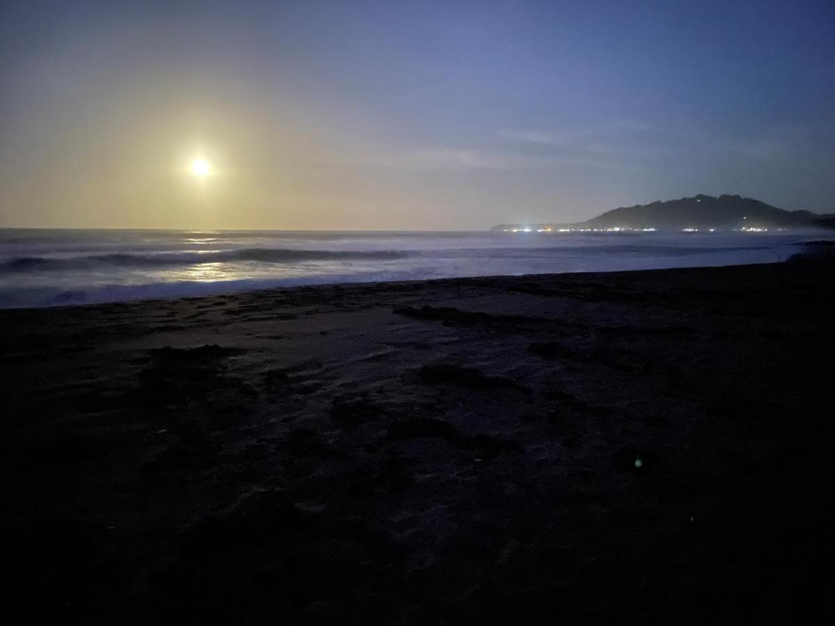 Perla Negra Beachfront Puerto Viejo de Talamanca Eksteriør bilde